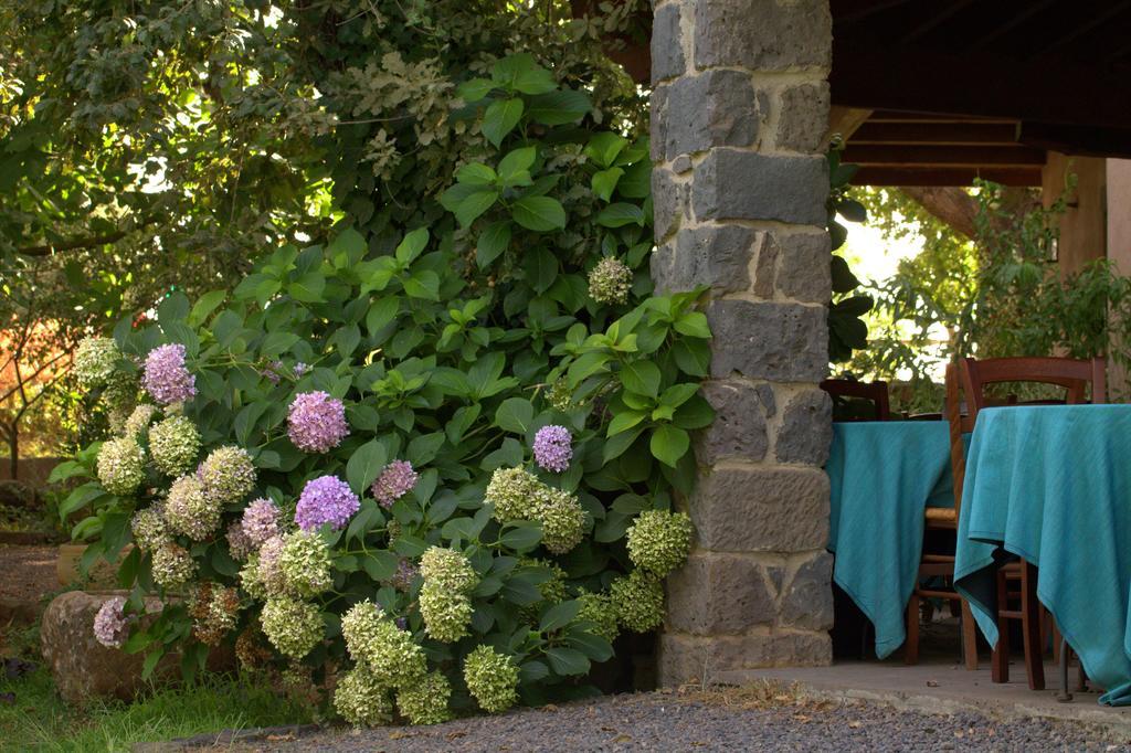 Country Hotel Mandra Edera Abbasanta Exteriér fotografie