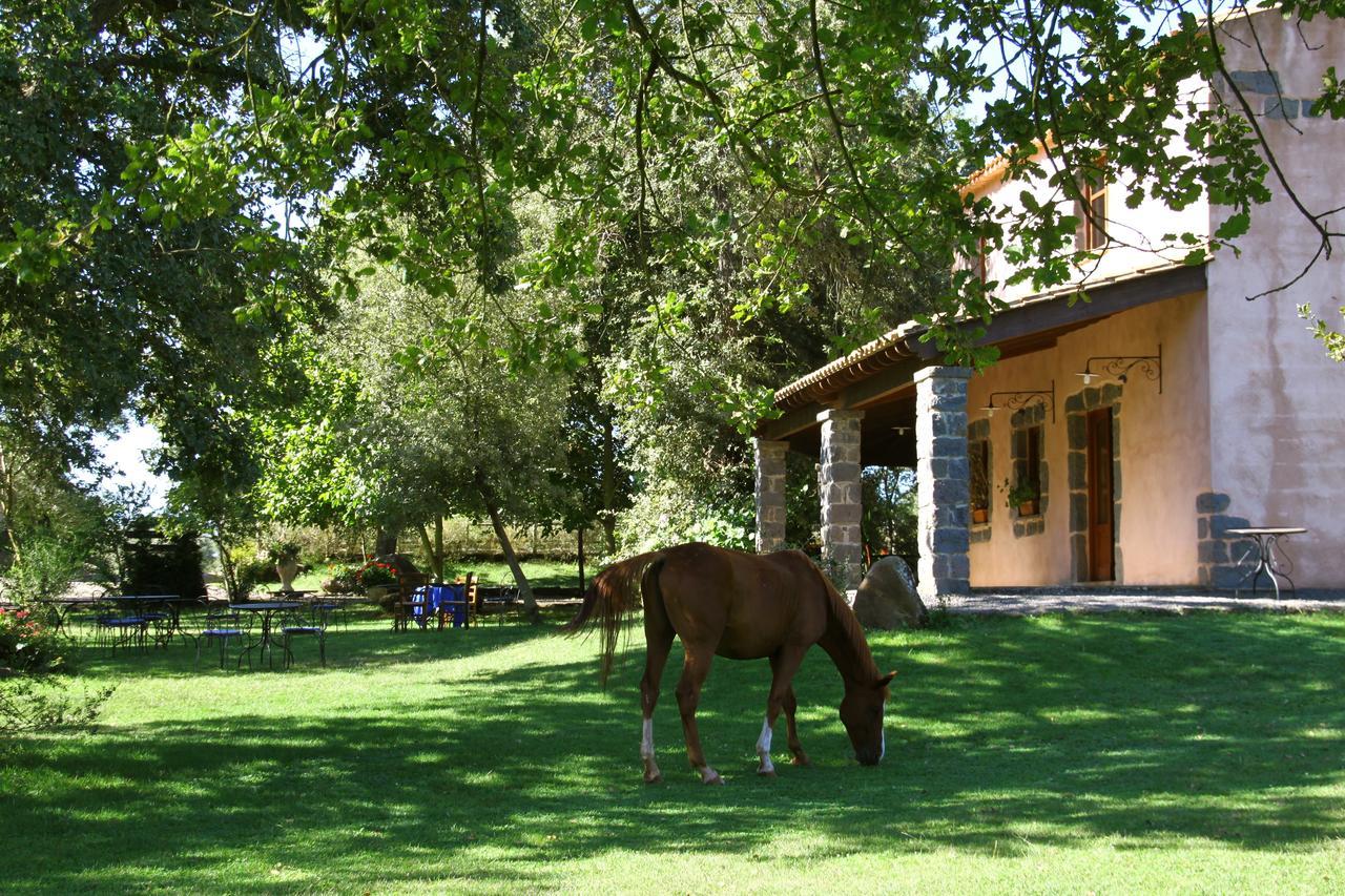 Country Hotel Mandra Edera Abbasanta Exteriér fotografie